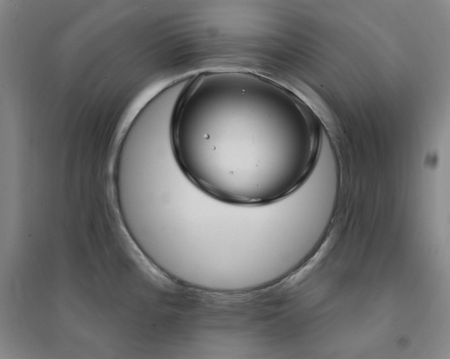 X0000094421196200711151313