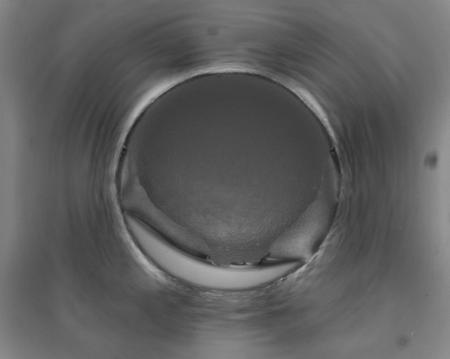 X0000094421197200711151313