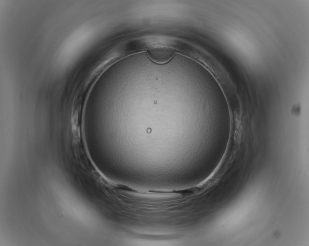 X0000094421198200711151313