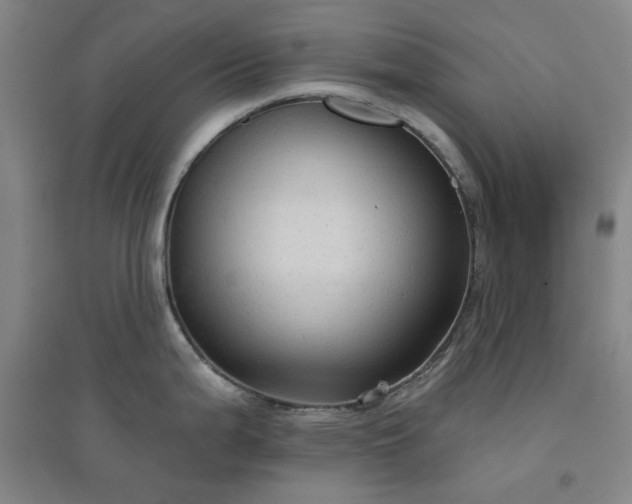 X0000094421199200711151313
