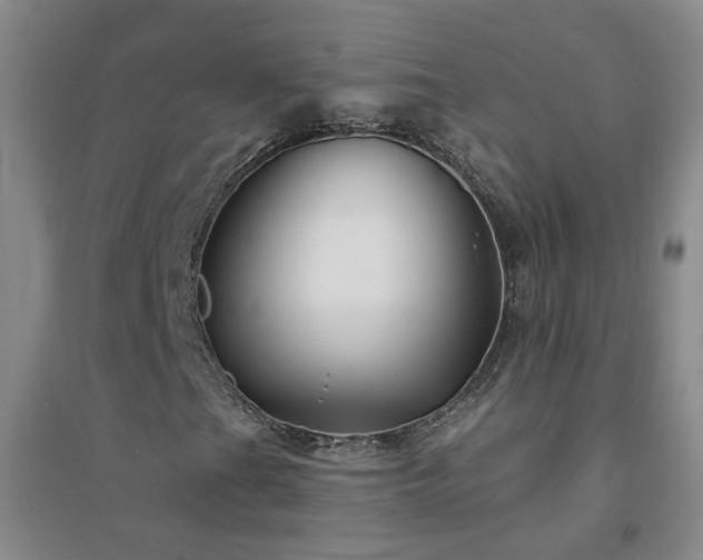 X0000094421201200711151312