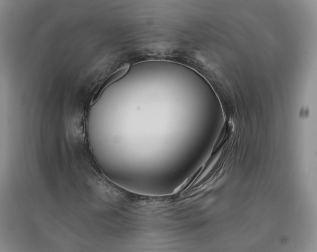 X0000094421202200711151312