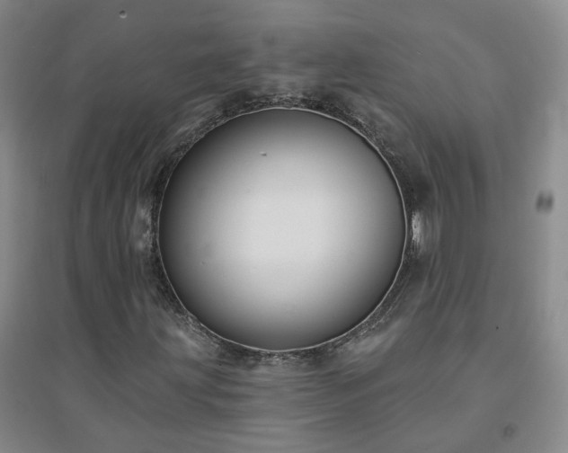 X0000094421203200711151312