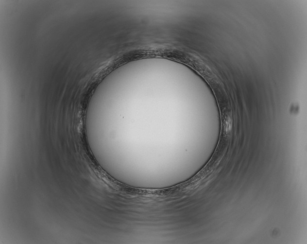 X0000094421204200711151312