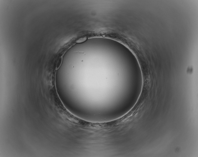 X0000094421205200711151312
