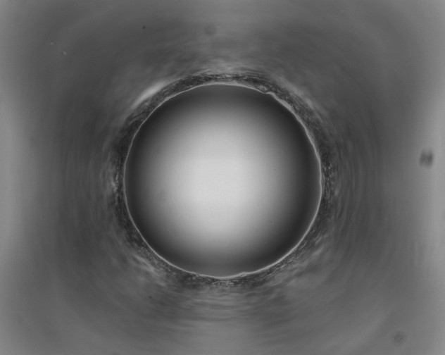 X0000094421206200711151312