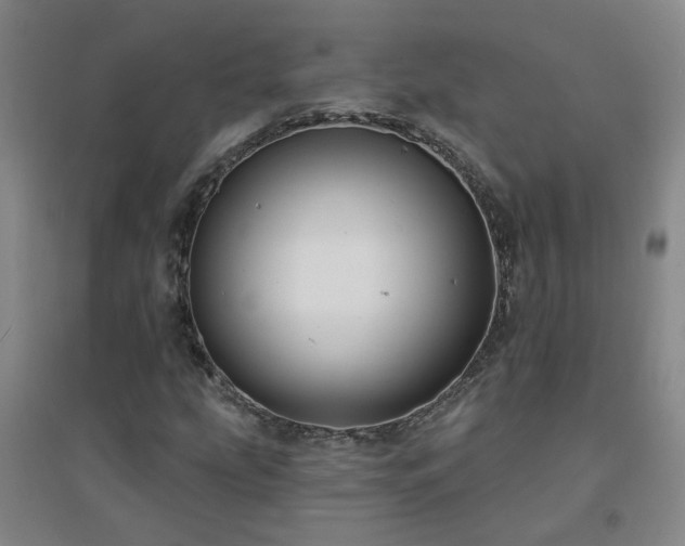 X0000094421207200711151312