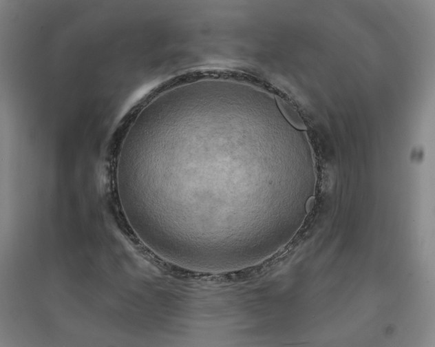 X0000094421208200711151312