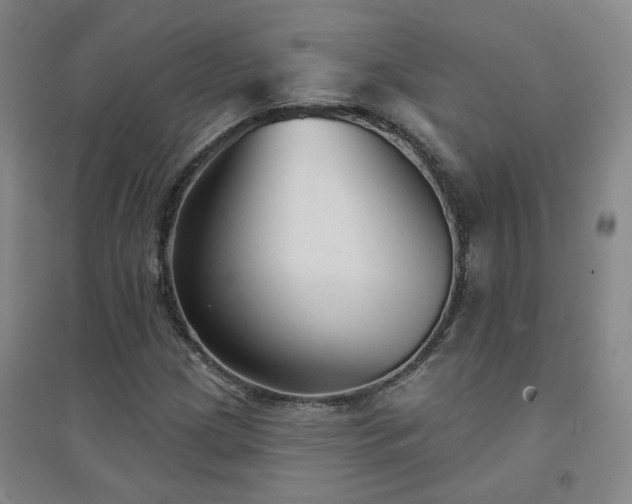 X0000094421209200711151312