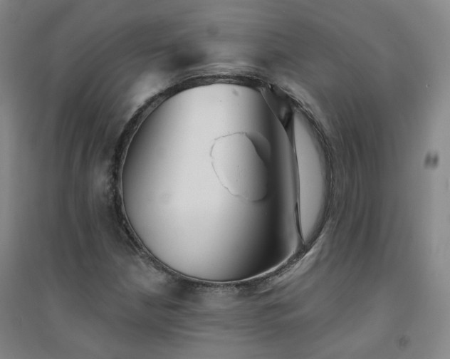 X0000094421210200711151312