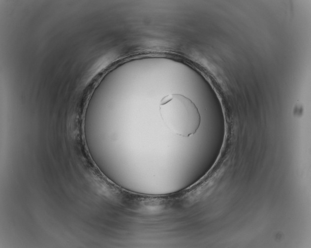 X0000094421211200711151312