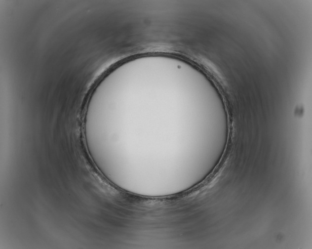 X0000094421212200711151312