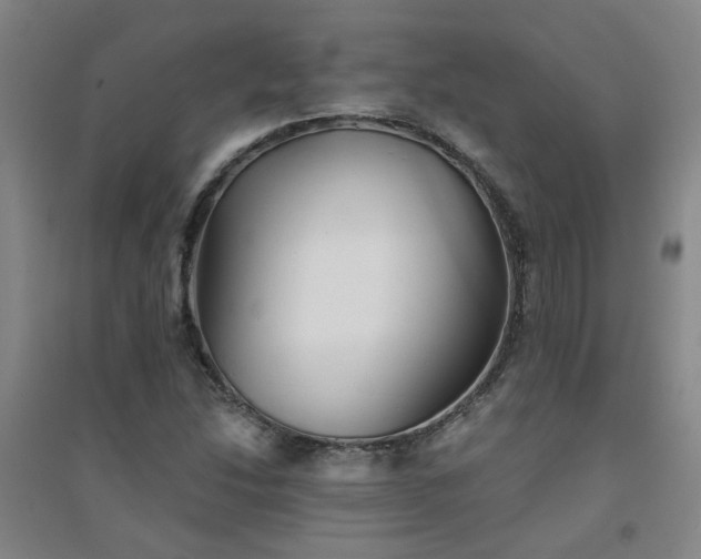 X0000094421214200711151313