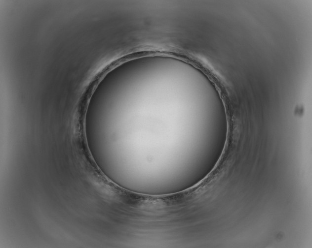 X0000094421215200711151313