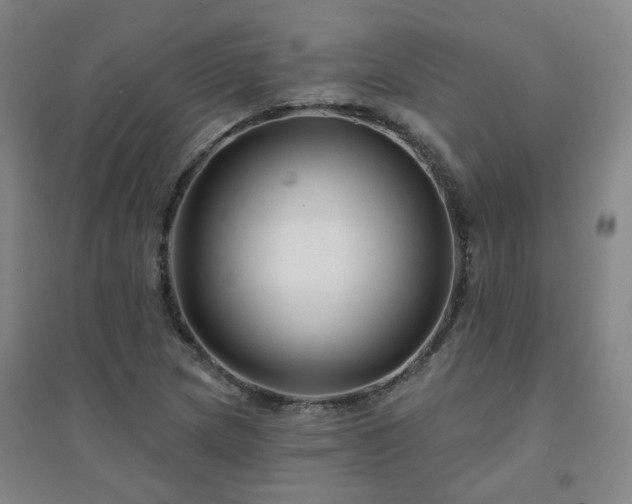 X0000094421217200711151313