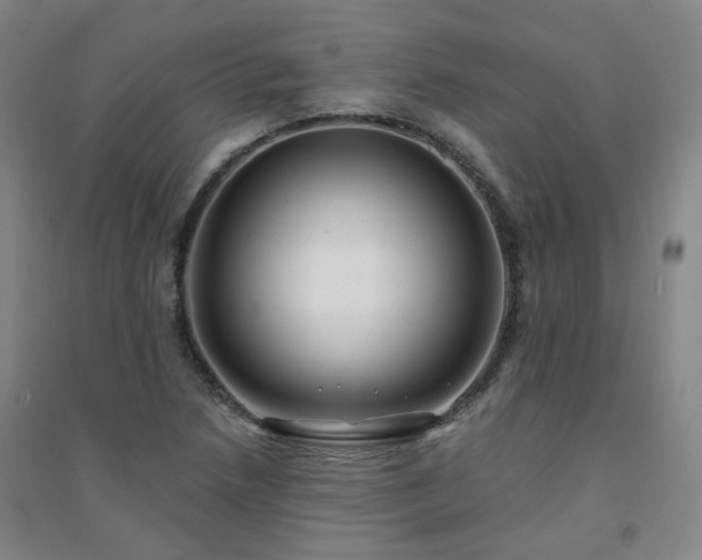 X0000094421218200711151313