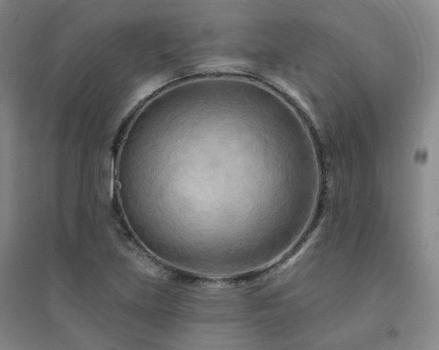 X0000094421219200711151313