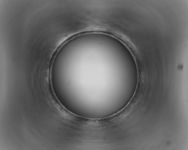 X0000094421220200711151313