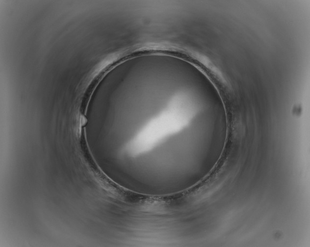 X0000094421221200711151313