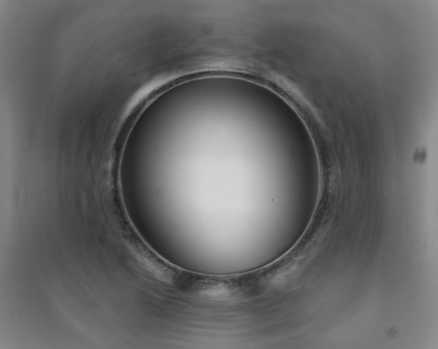 X0000094421222200711151313