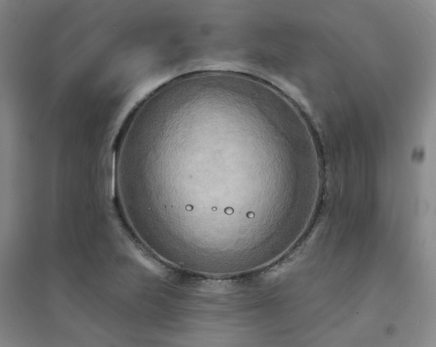 X0000094421223200711151313