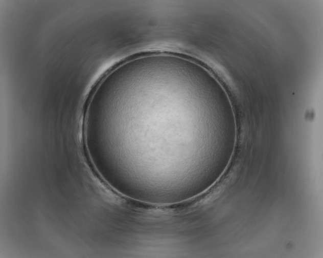 X0000094421224200711151313