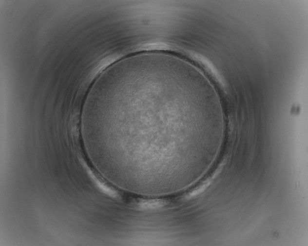 X0000094421225200711151313