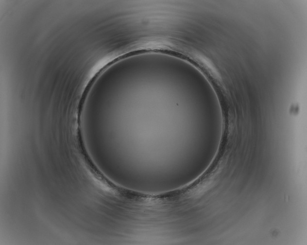 X0000094421226200711151313