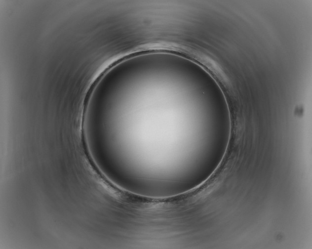 X0000094421228200711151313