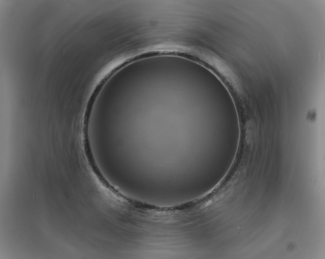 X0000094421229200711151313