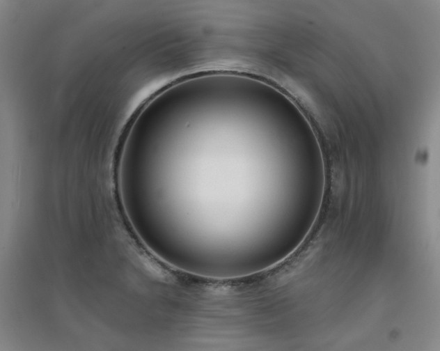X0000094421230200711151313