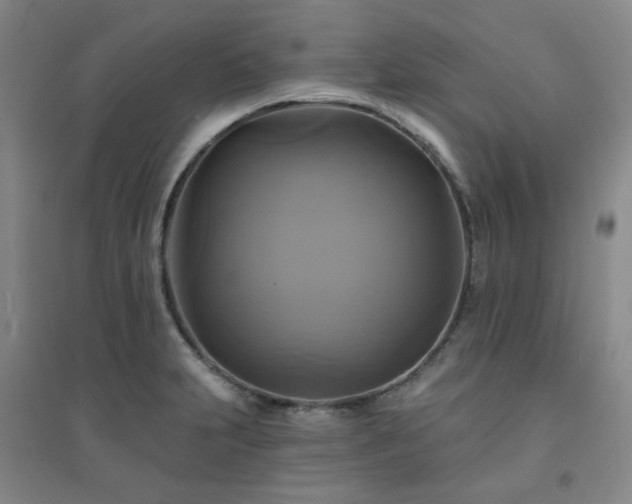 X0000094421231200711151313