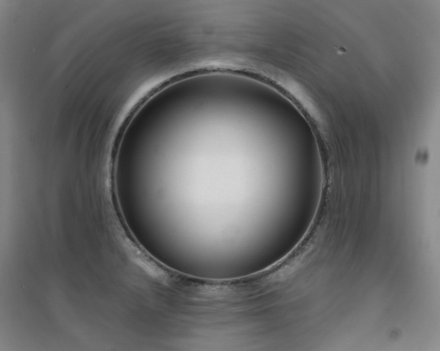 X0000094421232200711151313