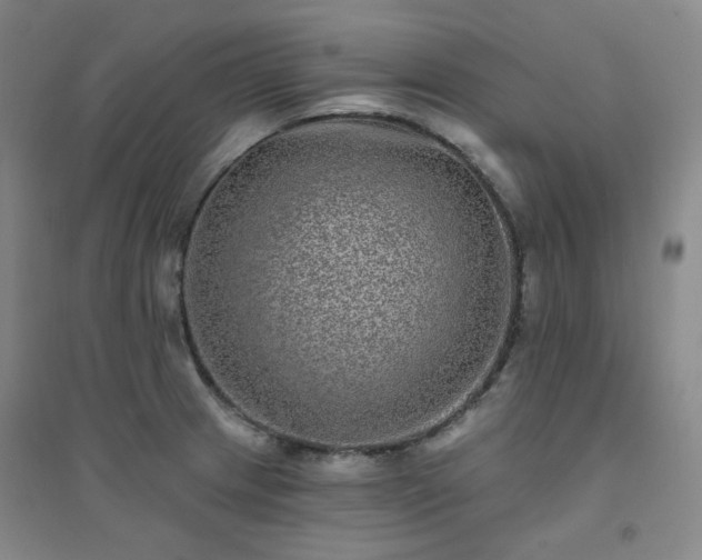 X0000094421233200711151313