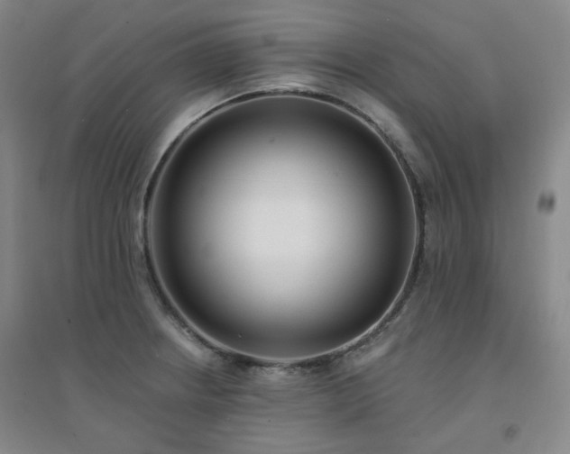 X0000094421234200711151313