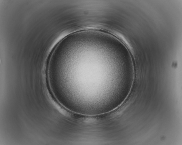 X0000094421235200711151313