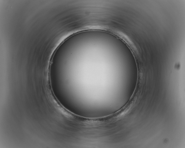 X0000094421236200711151313