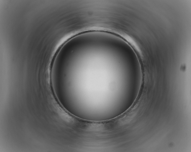 X0000094421238200711151313