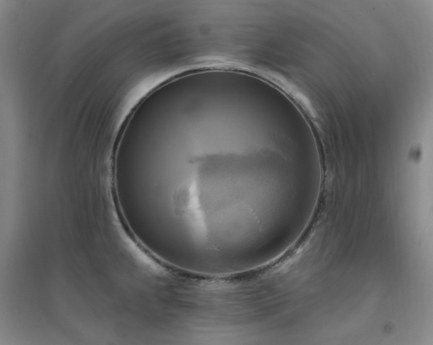 X0000094421239200711151313