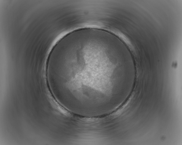 X0000094421240200711151313