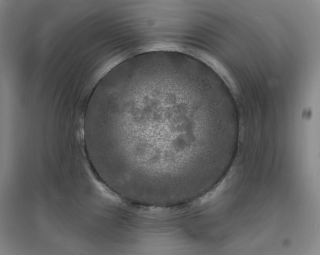 X0000094421241200711151313