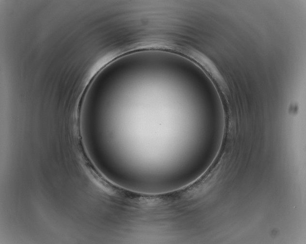 X0000094421242200711151313