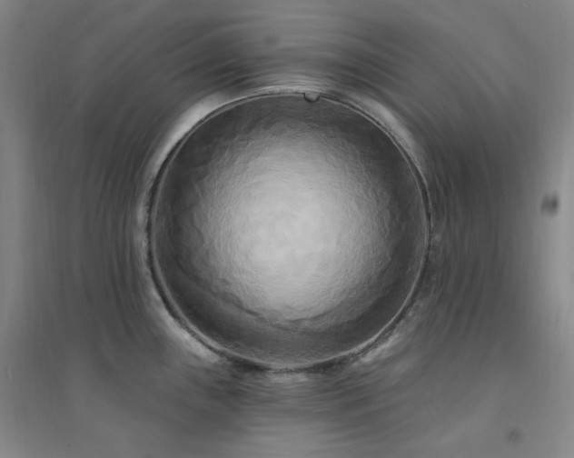 X0000094421243200711151313