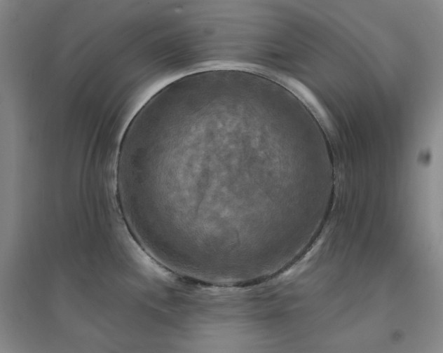 X0000094421244200711151313