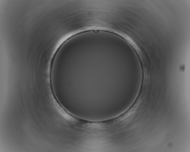 X0000094421246200711151313