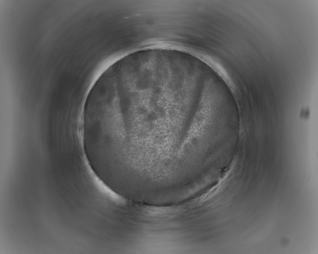 X0000094421247200711151313