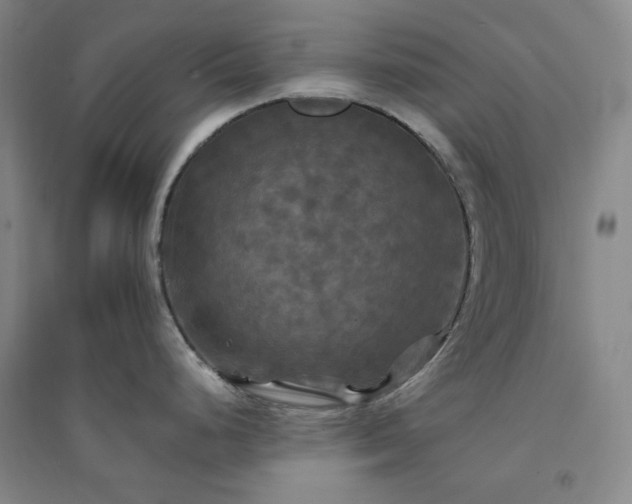 X0000094421248200711151313