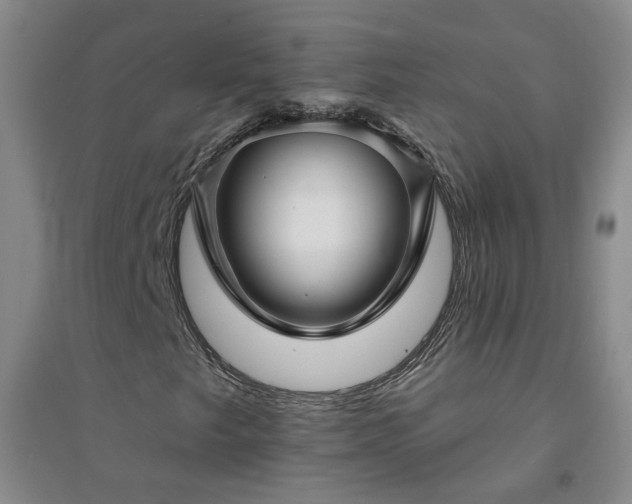 X0000094421249200711151312