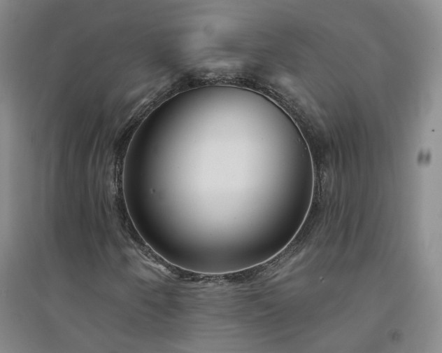 X0000094421250200711151312