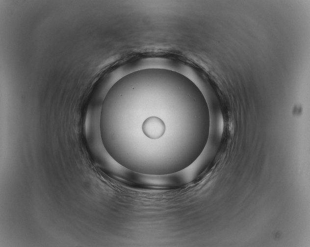 X0000094421252200711151312